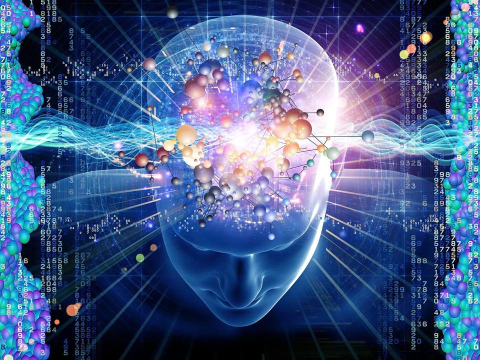 noogenesis