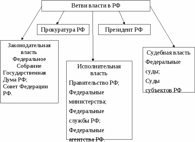 ветвив